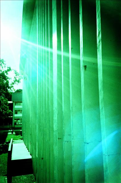 20250619-gzq4o