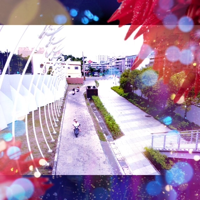 20250619-9oiqd