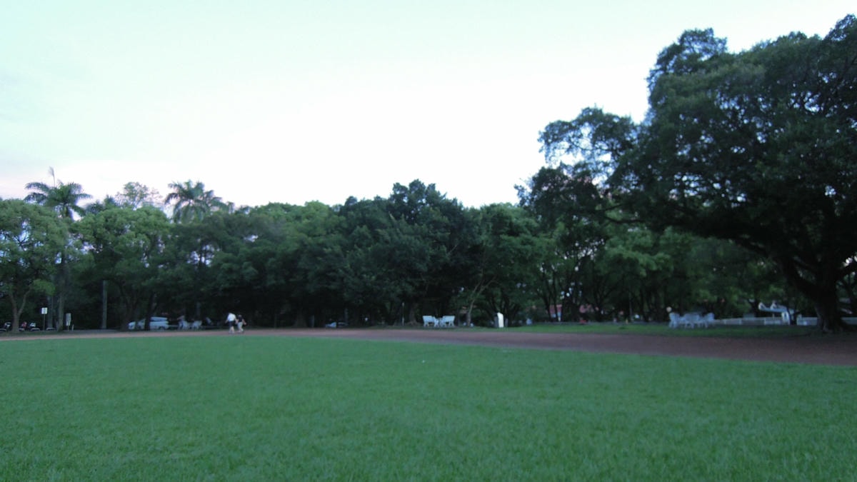 20250619-1zee4