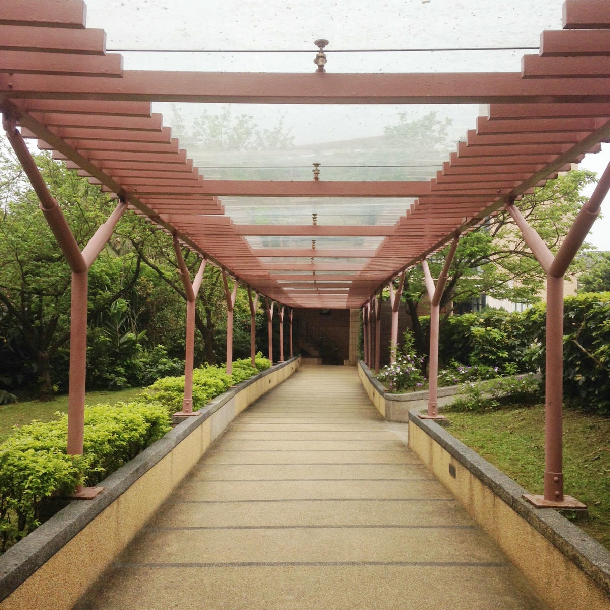 20250619-bgbyd