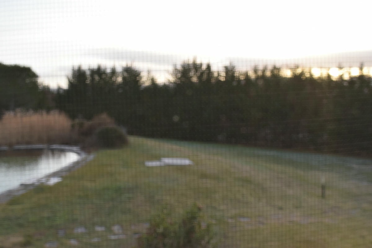 20250619-wnfrt