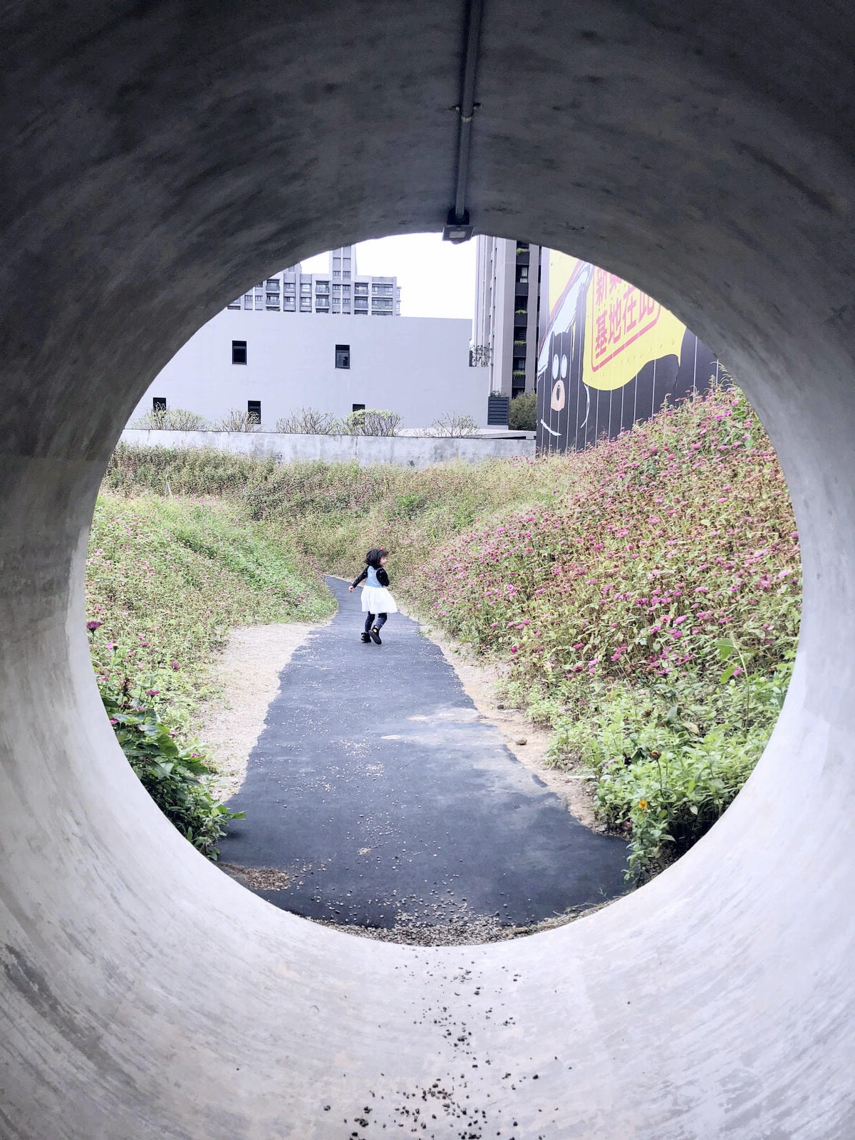 20250619-ojvxf