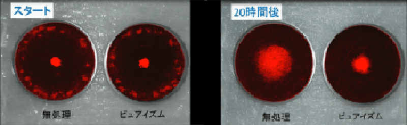 20250619-yc8hs