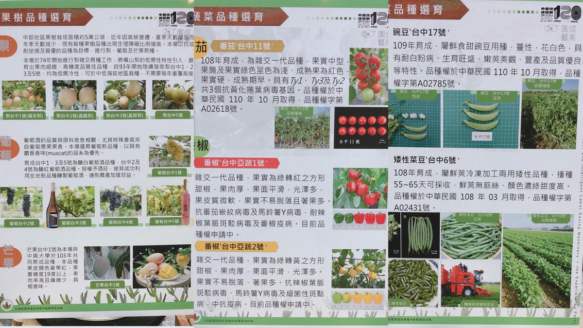 20250619-p2fnf