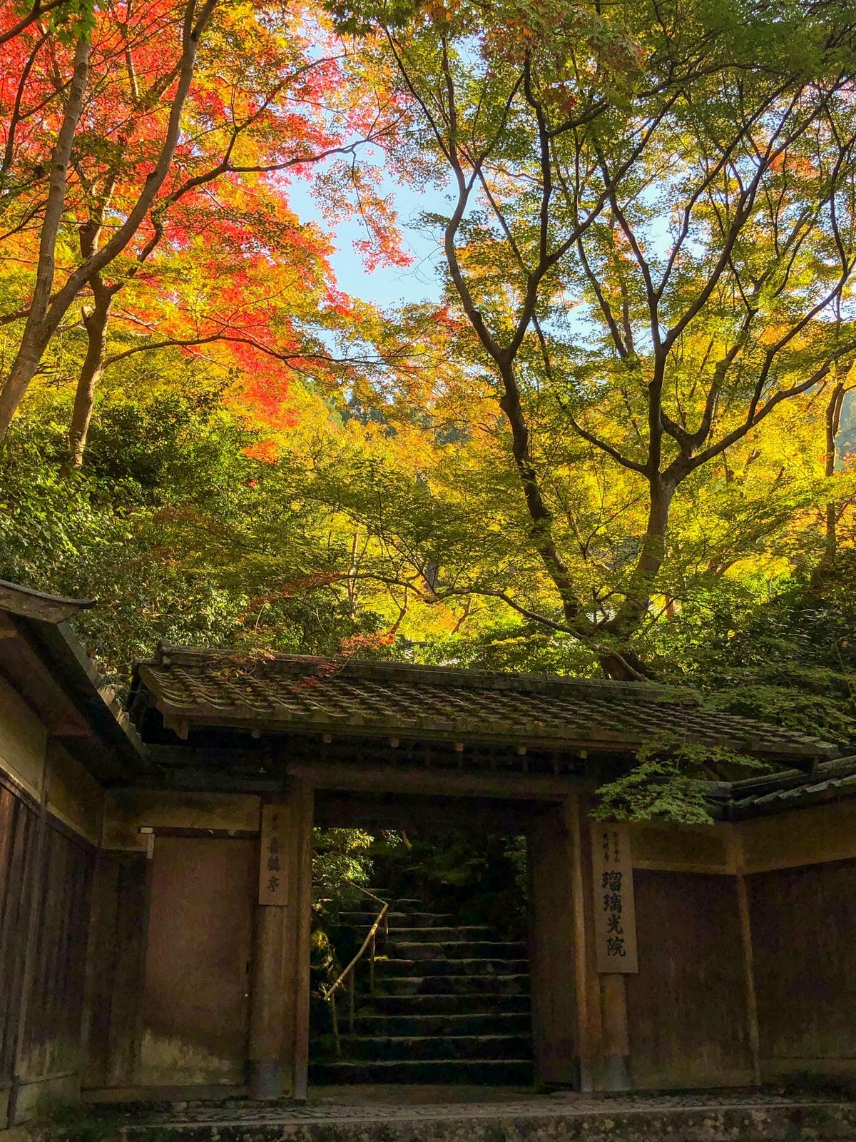 20250619-z1i7c