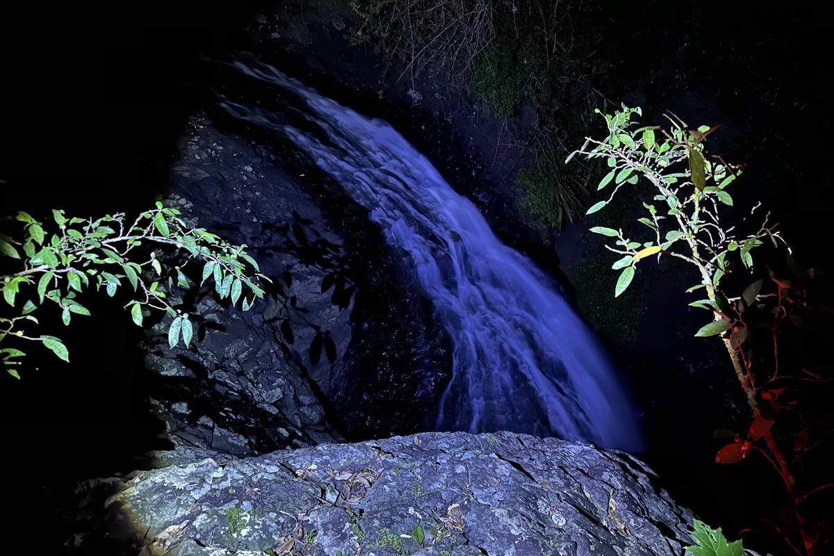 澳洲9日遊。黃金海岸、布里斯本必去景點!抱無尾熊、看螢火蟲、搭遊艇出海餵海鷗!鴻大旅行社。 - 第14張圖 澳洲9日遊。黃金海岸、布里斯本必去景點!抱無尾熊、看螢火蟲、搭遊艇出海餵海鷗!鴻大旅行社。