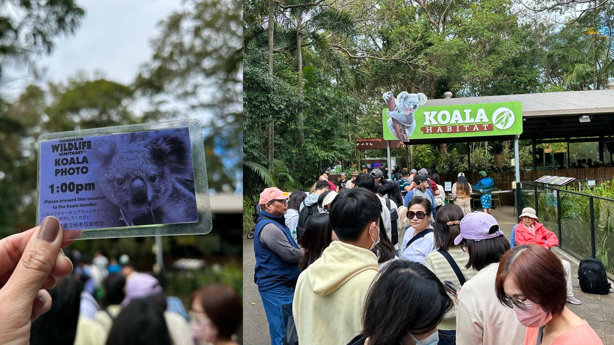 澳洲9日遊。黃金海岸、布里斯本必去景點!抱無尾熊、看螢火蟲、搭遊艇出海餵海鷗!鴻大旅行社。 - 第3張圖 澳洲9日遊。黃金海岸、布里斯本必去景點!抱無尾熊、看螢火蟲、搭遊艇出海餵海鷗!鴻大旅行社。