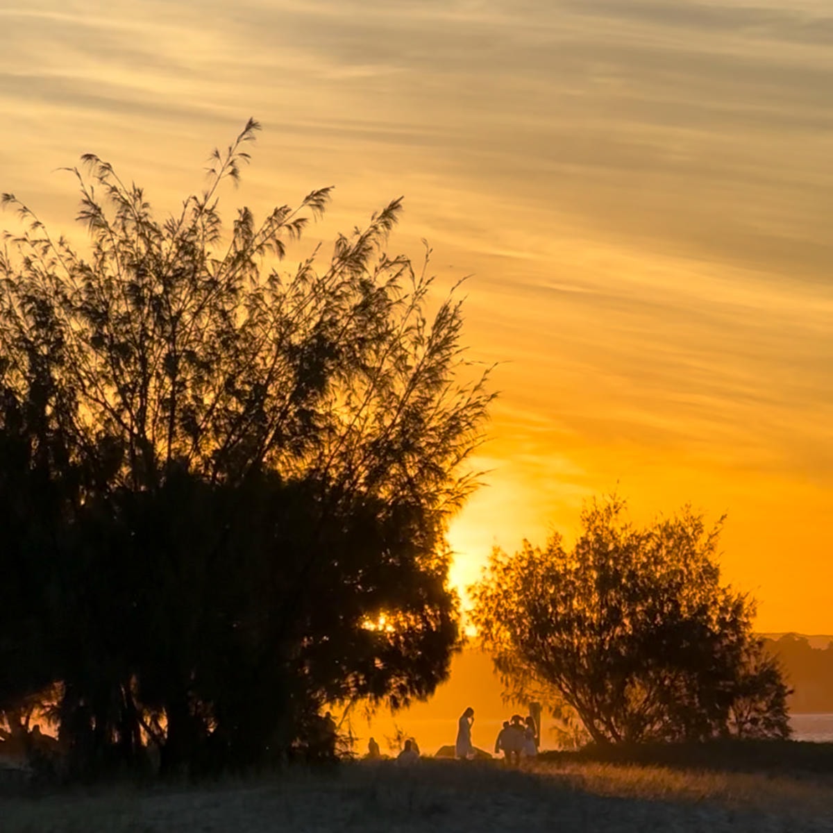 澳洲9日遊。黃金海岸、布里斯本必去景點!抱無尾熊、看螢火蟲、搭遊艇出海餵海鷗!鴻大旅行社。 - 第11張圖 澳洲9日遊。黃金海岸、布里斯本必去景點!抱無尾熊、看螢火蟲、搭遊艇出海餵海鷗!鴻大旅行社。