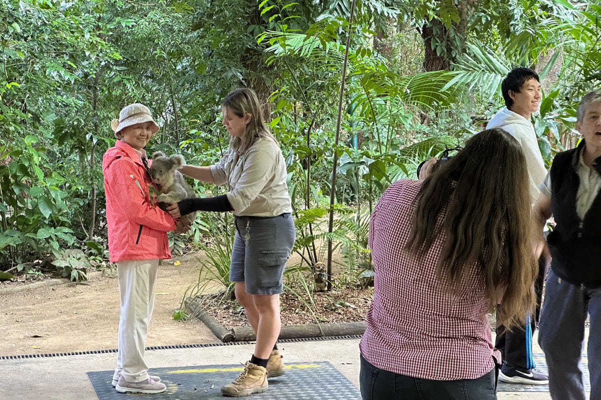 澳洲9日遊。黃金海岸、布里斯本必去景點!抱無尾熊、看螢火蟲、搭遊艇出海餵海鷗!鴻大旅行社。 - 第4張圖 澳洲9日遊。黃金海岸、布里斯本必去景點!抱無尾熊、看螢火蟲、搭遊艇出海餵海鷗!鴻大旅行社。