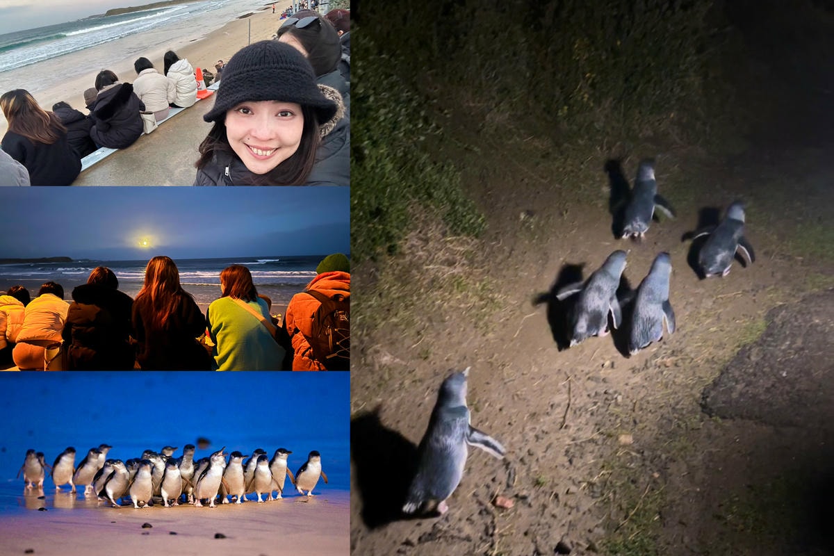 澳洲9日遊。墨爾本看企鵝歸巢、蒸汽火車、維多利亞市場。鴻大旅行社。 - 第1張圖 澳洲9日遊。墨爾本看企鵝歸巢、蒸汽火車、維多利亞市場。鴻大旅行社。