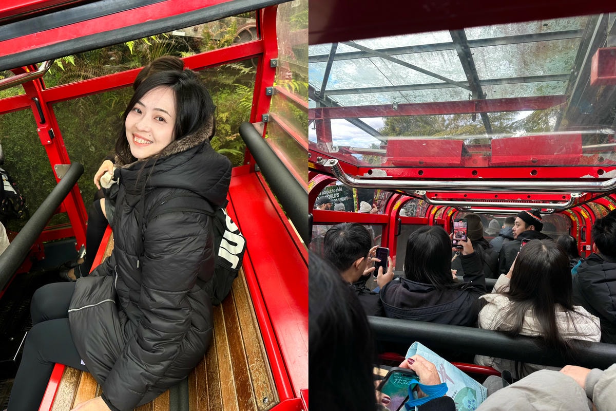 藍山國家公園!澳洲雪梨必去景點!交通、行程、一日遊攻略。世界自然遺產。 - 第6張圖 藍山國家公園!澳洲雪梨必去景點!交通、行程、一日遊攻略。世界自然遺產。