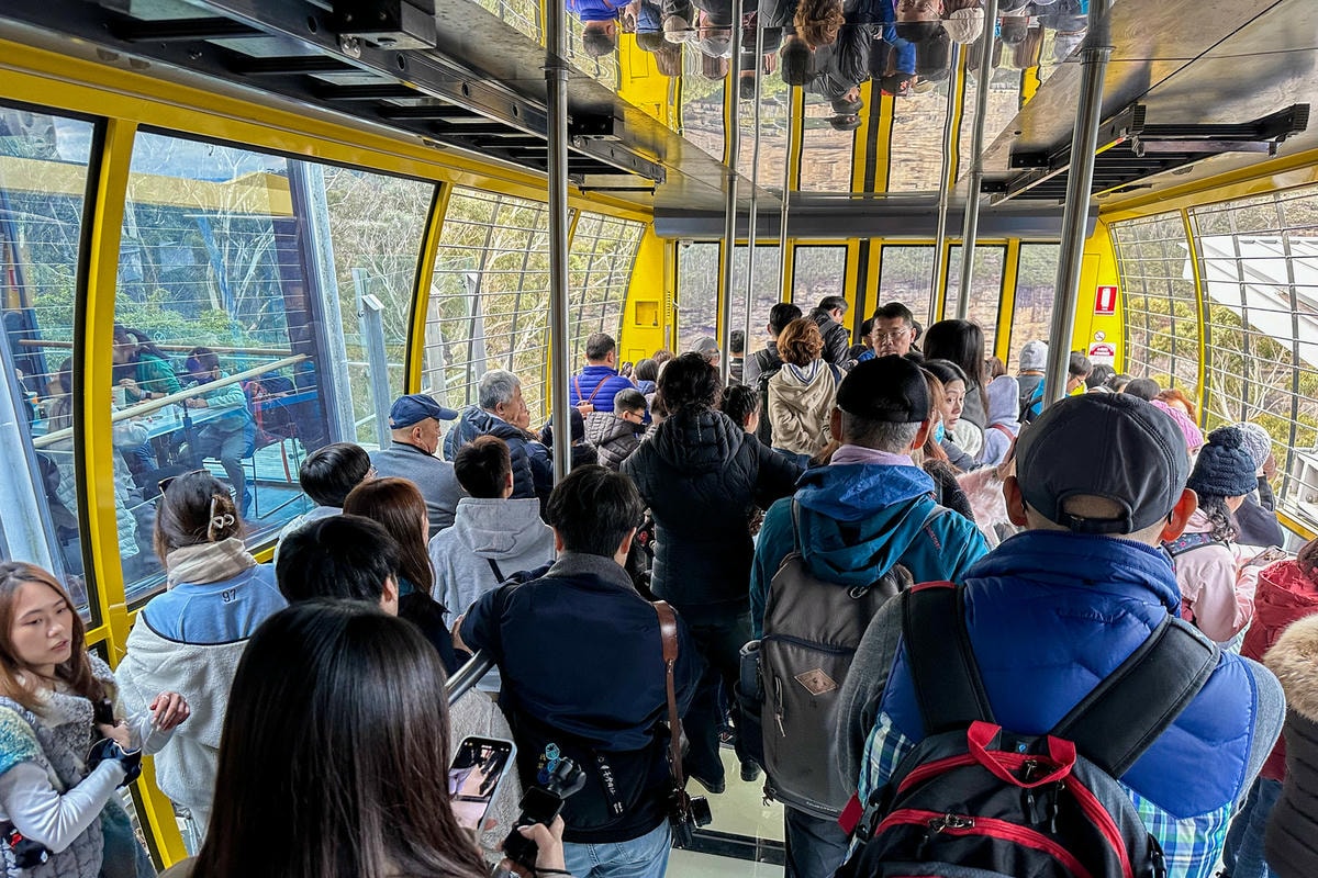 藍山國家公園!澳洲雪梨必去景點!交通、行程、一日遊攻略。世界自然遺產。 - 第11張圖 藍山國家公園!澳洲雪梨必去景點!交通、行程、一日遊攻略。世界自然遺產。
