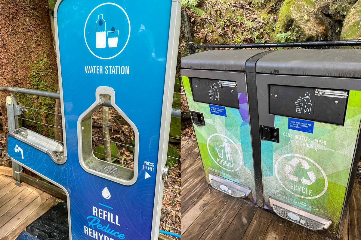 藍山國家公園!澳洲雪梨必去景點!交通、行程、一日遊攻略。世界自然遺產。 - 第9張圖 藍山國家公園!澳洲雪梨必去景點!交通、行程、一日遊攻略。世界自然遺產。