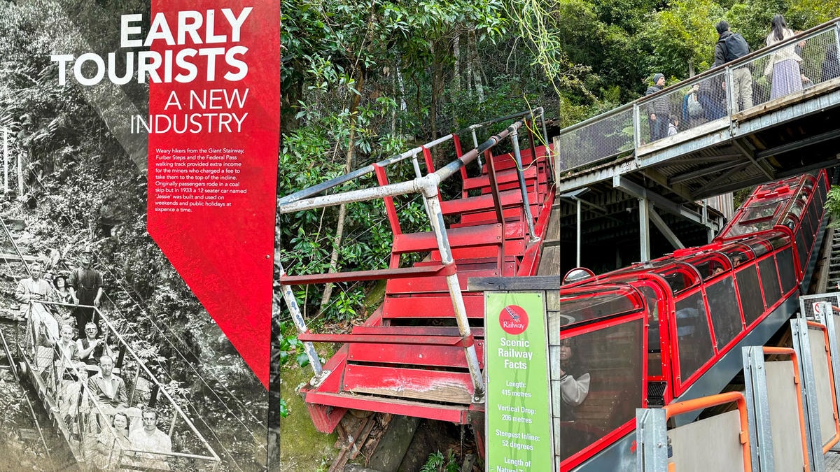 藍山國家公園!澳洲雪梨必去景點!交通、行程、一日遊攻略。世界自然遺產。 - 第7張圖 藍山國家公園!澳洲雪梨必去景點!交通、行程、一日遊攻略。世界自然遺產。